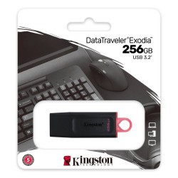 Kingston DataTraveler 256GB USB3.2 Stick Zwart