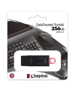 Kingston DataTraveler 256GB USB3.2 Stick Zwart