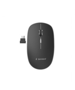 Stille Draadloze Optische Muis, USB-C Zwart