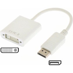 DisplayPort M - DVI F Adapter Wit 10cm