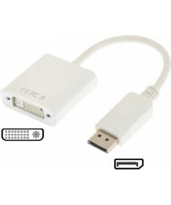 DisplayPort M - DVI F Adapter Wit 10cm