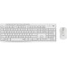 Logitech MK295 toetsenbord RF Draadloos QWERTY US International Wit