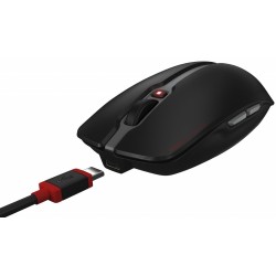 Cherry Stream Desktop Recharge | Draadloos Toetsenbord en Muis | Grijs | USB Receiver Cherry Stream Desktop Recharge | Draadloos Toetsenbord en Muis | Grijs | USB Receiver