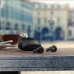 Philips True Wireless TAT2206 | Draadloze In-ear Headphones | Zwart