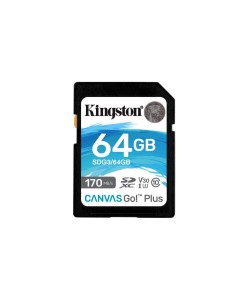 Kingston Technology Canvas Go! Plus flashgeheugen 64 GB SD UHS-I Klasse 10