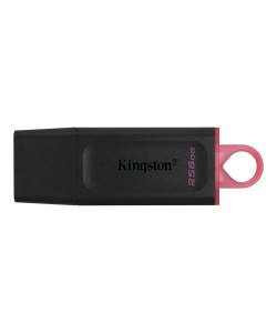 Kingston DataTraveler 256GB USB3.2 Stick Zwart